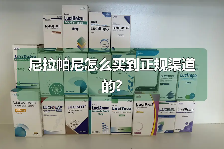 尼拉帕尼怎么买到正规渠道的?
